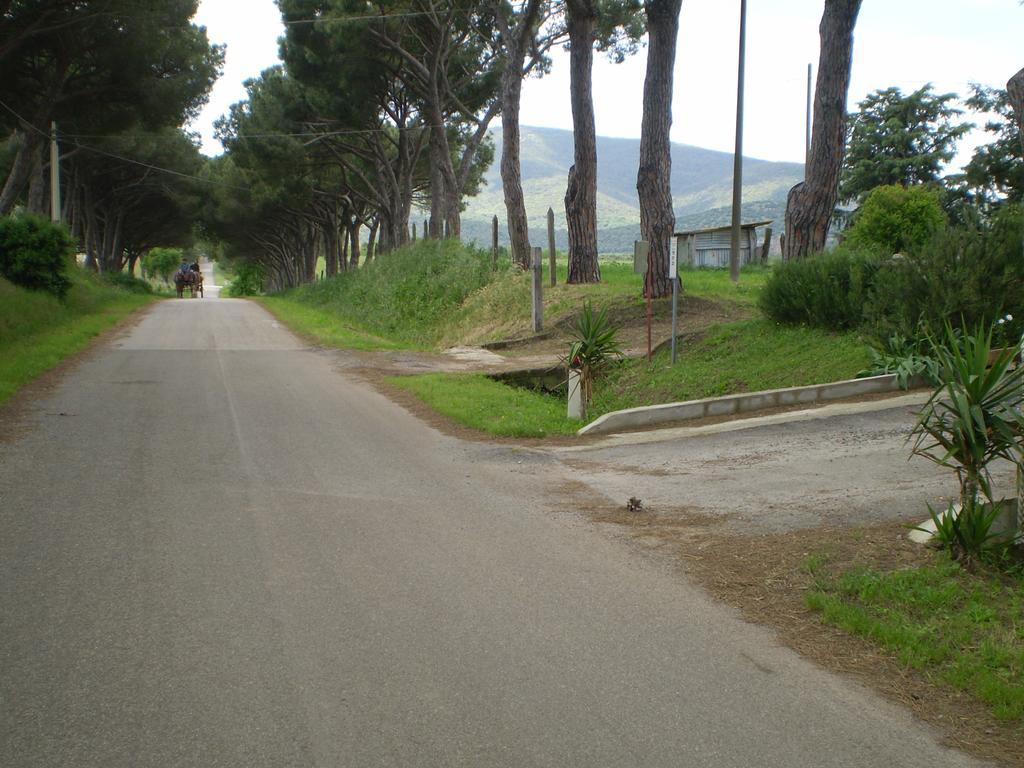 Agriturismo Ternova Alberese Εξωτερικό φωτογραφία