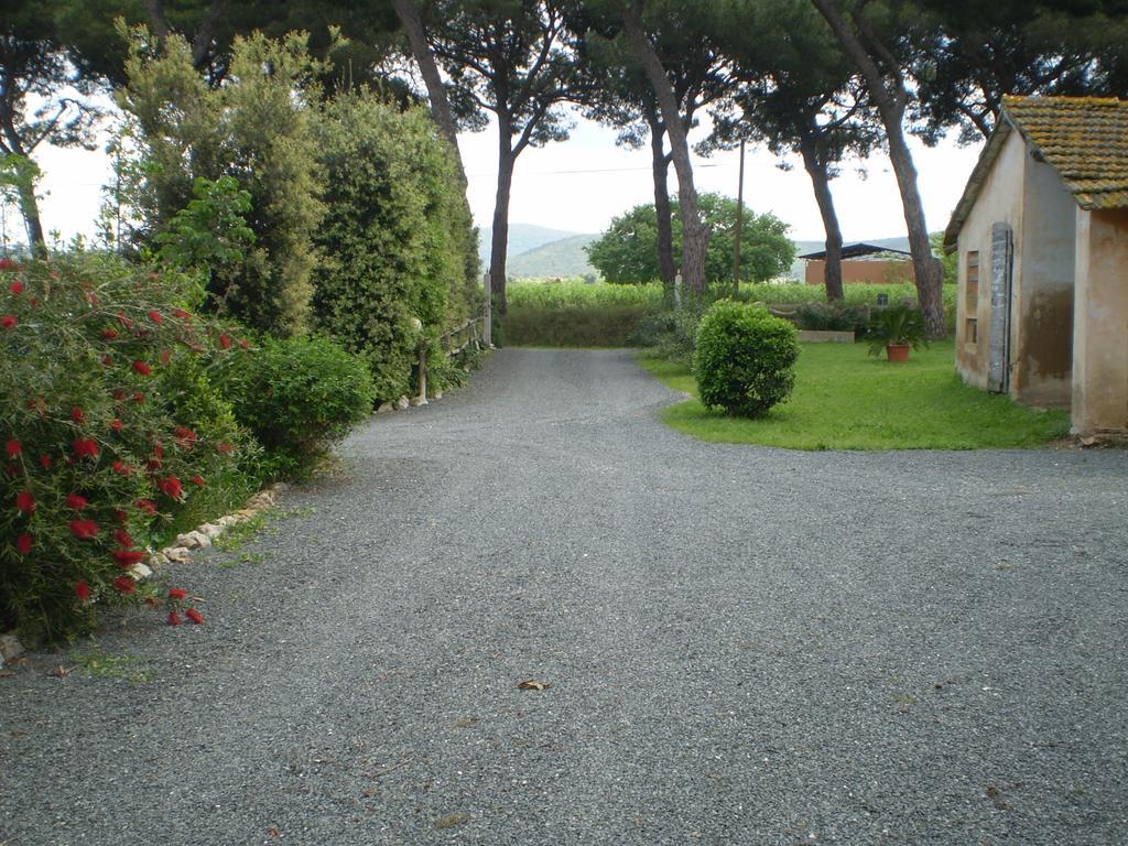 Agriturismo Ternova Alberese Εξωτερικό φωτογραφία